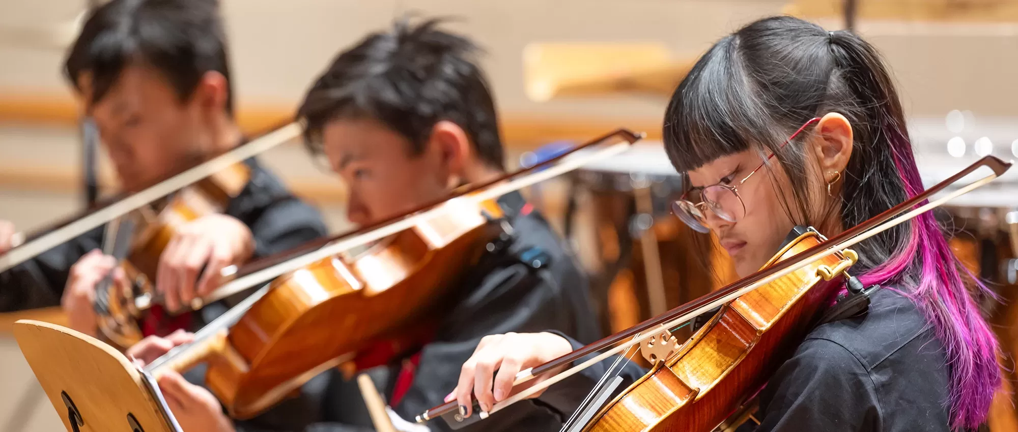 Pacific Symphony Santiago Strings musicians