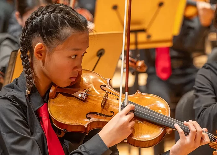 Pacific Symphony Santiago Strings musician